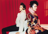 �Хˡ������륯���