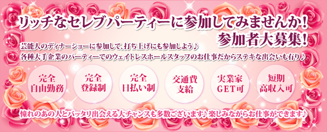 �ѡ��ƥ�������ѥ˥���