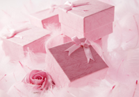 ���ͥ���֡���ݥ����