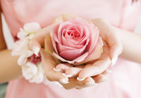 ���ͥ���֡���ݥ����