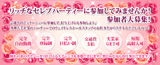 �ѡ��ƥ�������ѥ˥���